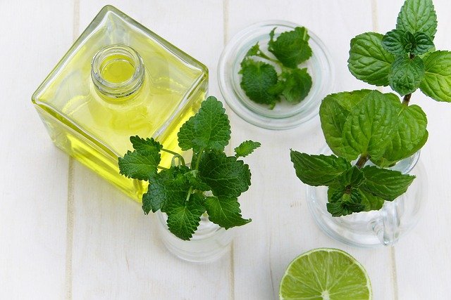 El mejor aceite esencial de menta