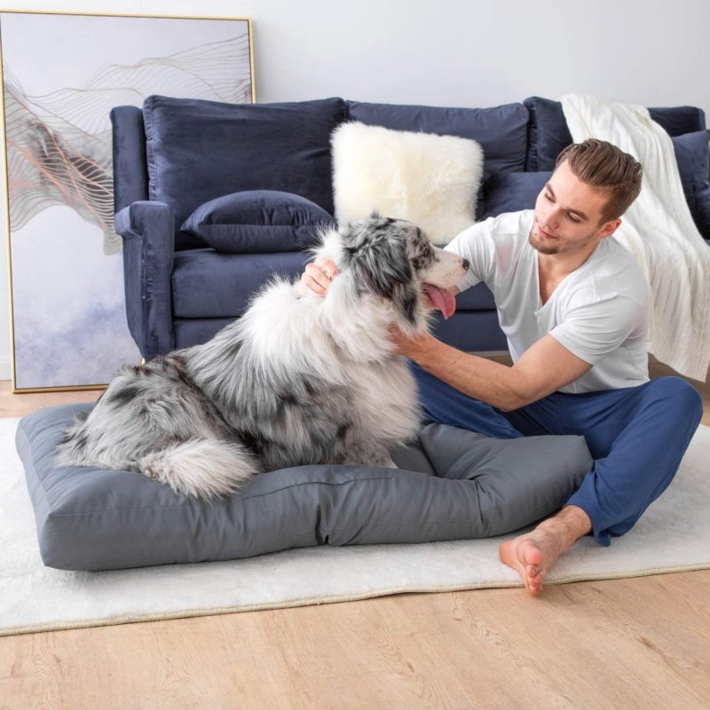 La mejor cama para perros grandes La mejor cama para perros grandes