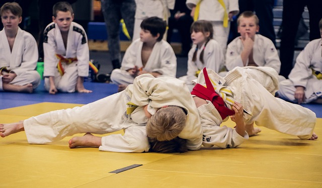 El mejor kimono judo