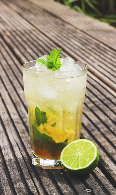 Mejor picadora de hielo barata