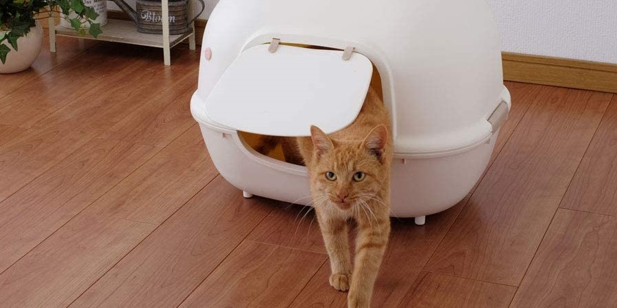 Mejor Arenero cubierto para gatos barato