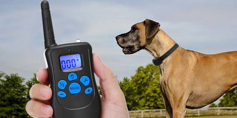 Mejor Collar de adiestramiento para perros Mejor Collar de adiestramiento para perros