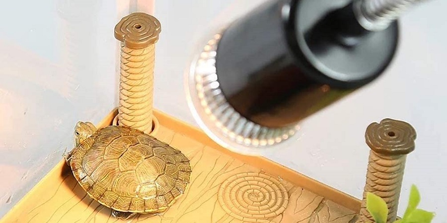 Mejor lámpara de calor para animales