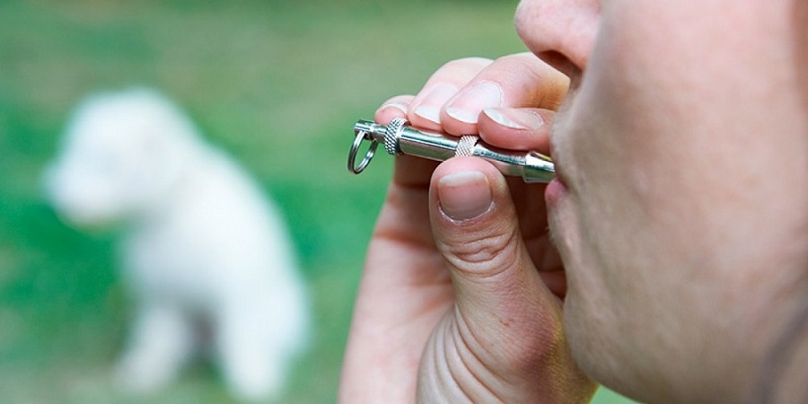Mejor Silbato para perros 
